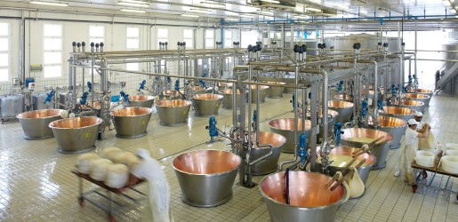 studiogiovetti industrial parmiggiano reggiano cheese processing